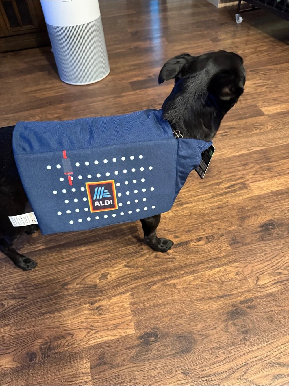 Heart To Tail navy blue